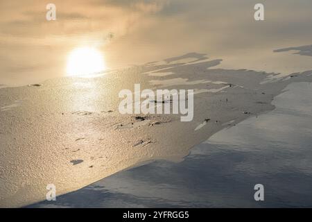 Überflutete Wiese im Winter gefroren. Bas-Rhin, Elsass, Grand Est, Frankreich, Europa Stockfoto