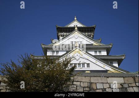 Landschaft mit malerischem Tenshu (Donjon) Blick auf Ōsaka-jō, eines der berühmtesten Wahrzeichen Japans in Chūō-ku, Osaka, Japan. Stockfoto