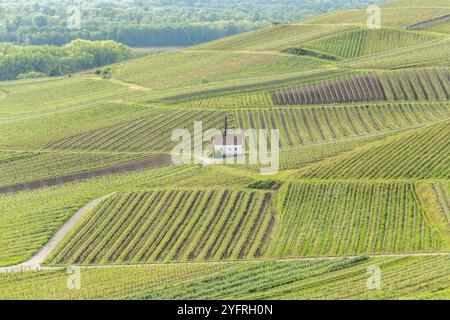 Eichert Kapelle im Weinberg im Frühjahr. Sasbach am Kaiserstuhl, Emmendingen Bade-Wurtemberg, Allemagne Stockfoto