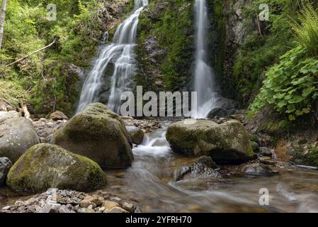 Die Kaskade fällt über moosige Felsen in den Vosge Mountains. Elsass, Frankreich, Europa Stockfoto