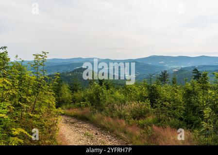 Skrzyczne, Barania Gora und wenige andere Hügel vom Wanderweg Wielki Stozek Berggipfel im Sommer Beskiden Slaski Berge in Polen nahe der Grenze Stockfoto