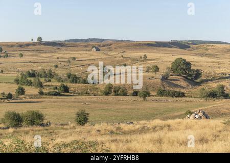 Landschaft in Aubrac im Sommer, inspirierend, unendlich, bezaubernd, magisch, friedlich, betörend. Cevennen Frankreich Stockfoto