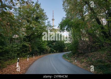 Die malerische Straße schlängelt sich durch den Wald von Fruska Gora und führt zu einem Fernsehturm inmitten von lebhaftem Herbstlaub Stockfoto