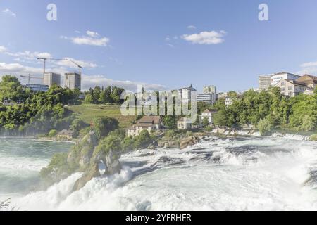 Wasserfall des Rheins im Frühling, die größten Wasserfälle Europas. Neuhausen am reinfall, Schaffhausen, Schweiz, Europa Stockfoto