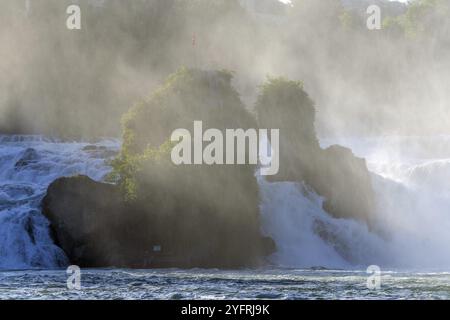 Wasserfall des Rheins im Frühling, die größten Wasserfälle Europas. Neuhausen am reinfall, Schaffhausen, Schweiz, Europa Stockfoto