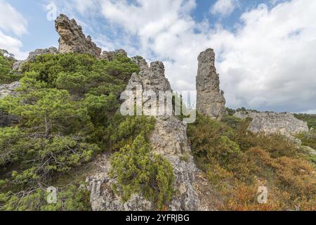 Felsen mit seltsamen Formen im Chaos von Montpellier-le-Vieux im Nationalpark Cevennen. La Roque-Sainte-Marguerite, Aveyron, Frankreich, Europa Stockfoto