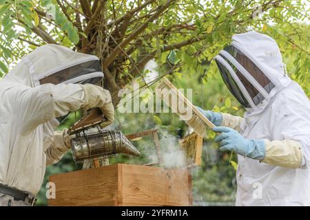 Porträt eines Imkers mit Wabenkasten bei der Arbeit im Bienenhaus. Stockfoto