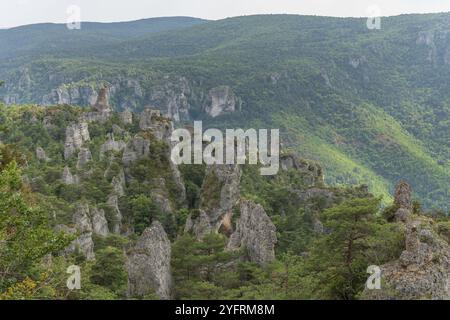 Die Stadt der Steine, im Grands Causses Regional Natural Park, als Naturstätte mit Dourbie Gorges am Boden. Aveyron, Cevennen, Frankreich, Europa Stockfoto