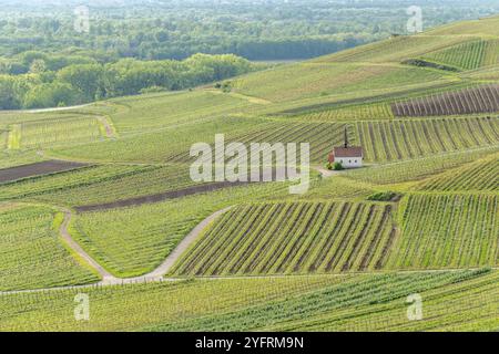 Eichert Kapelle im Weinberg im Frühjahr. Sasbach am Kaiserstuhl, Emmendingen Bade-Wurtemberg, Allemagne Stockfoto