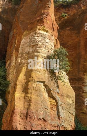 Luberon Ocker in der Nähe des Dorfes Roussillon. Geologisches Wunder in der Provence Stockfoto