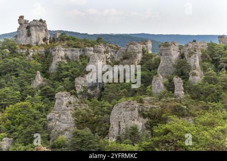 Felsen mit seltsamen Formen im Chaos von Montpellier-le-Vieux im nationalpark cevennes. Stadt der Steine, La Roque-Sainte-Marguerite, Aveyron, Fra Stockfoto