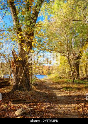 Herbstfarben am Ufer des Potomac River 1 Stockfoto