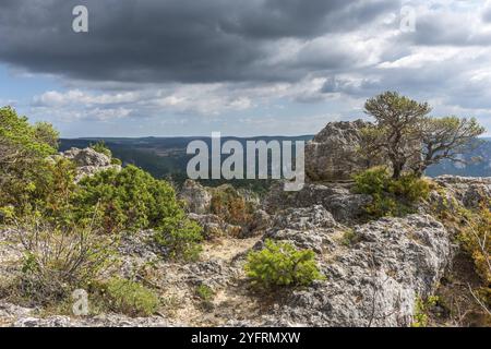 Die Stadt der Steine, im Grands Causses Regional Natural Park, als Naturstätte mit Dourbie Gorges am Boden. Aveyron, Cevennen, Frankreich, Europa Stockfoto