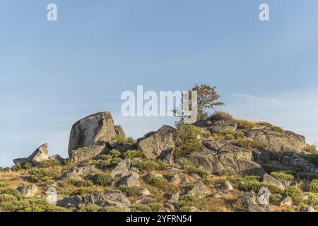 Landschaft in Aubrac im Sommer, inspirierend, unendlich, bezaubernd, magisch, friedlich, betörend. Cevennen Frankreich Stockfoto