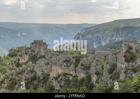 Die Stadt der Steine, im Grands Causses Regional Natural Park, als Naturstätte mit Dourbie Gorges am Boden. Aveyron, Cevennen, Frankreich, Europa Stockfoto