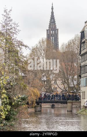 Die große Kathedrale notre-Dame aus Little France in Straßburg zur Weihnachtszeit. Bas-Rhin, Elsass, Grand Est, Frankreich, Europa Stockfoto