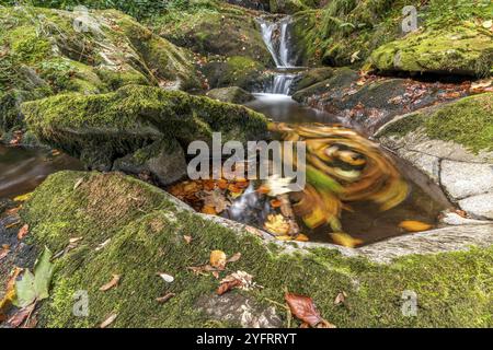 Die Kaskade fällt über moosige Felsen in den Vosge Mountains. Elsass, Frankreich, Europa Stockfoto