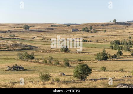 Landschaft in Aubrac im Sommer, inspirierend, unendlich, bezaubernd, magisch, friedlich, betörend. Cevennen Frankreich Stockfoto