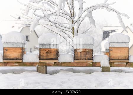 Bienenstöcke im Bienenhaus im Winter in Frankreich mit Schnee bedeckt Stockfoto