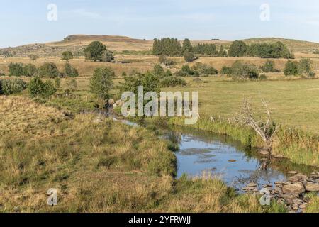 Landschaft in Aubrac im Sommer, inspirierend, unendlich, bezaubernd, magisch, friedlich, betörend. Cevennen Frankreich Stockfoto