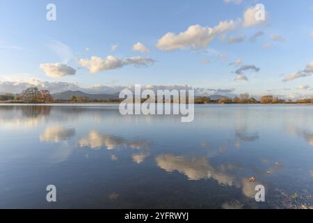 Wolkenlinie, die sich in einer überfluteten Wiese nach starken Regenfällen reflektiert. Herbstlandschaft. Bas-Rhin, Elsass, Grand Est, Frankreich, Europa Stockfoto