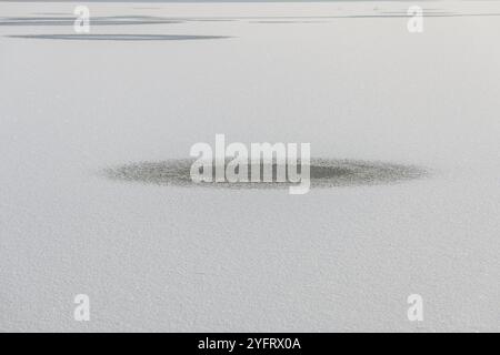 Überflutete Wiese im Winter gefroren. Bas-Rhin, Elsass, Grand Est, Frankreich, Europa Stockfoto