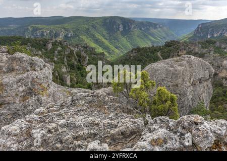 Die Stadt der Steine, im Grands Causses Regional Natural Park, als Naturstätte mit Dourbie Gorges am Boden. Aveyron, Cevennen, Frankreich, Europa Stockfoto