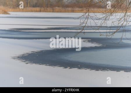 Überflutete Wiese im Winter gefroren. Bas-Rhin, Elsass, Grand Est, Frankreich, Europa Stockfoto