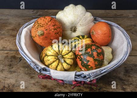 Kürbis, Patisson und Jack sind klein in einem dekorativen Korb auf einem Tisch Stockfoto