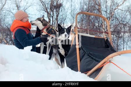 Mann sitzt, streichelt sein Husky-Schlittenhundeteam im Schnee, schöne fürsorgliche Momente, Bindung zwischen Mann und Hunden, mit einem Pferdeschlitten, Polarkreis, Finnland Stockfoto