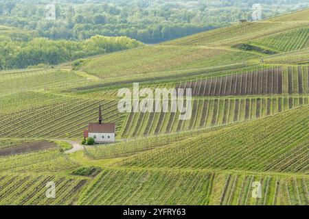 Eichert Kapelle im Weinberg im Frühjahr. Sasbach am Kaiserstuhl, Emmendingen Bade-Wurtemberg, Allemagne Stockfoto