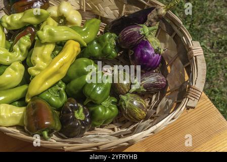 Bio-Paprika und Auberginen zum Verkauf auf einem Landmarkt. Frankreich Stockfoto