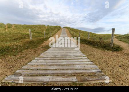 Holzweg über Sanddünen. Holzweg an der atlantikküste in Frankreich Stockfoto