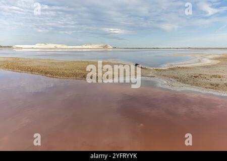 Salzgewinnung im Dorf Salin de Giraud nahe der Mündung der Großen Rhone. Parc naturel Regional, Arles, Bouches du Rhone, Provence Alpes Stockfoto