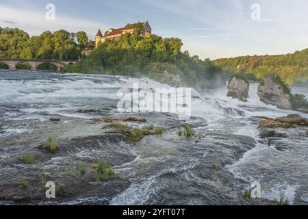 Wasserfall des Rheins im Frühling, die größten Wasserfälle Europas. Neuhausen am reinfall, Schaffhausen, Schweiz, Europa Stockfoto