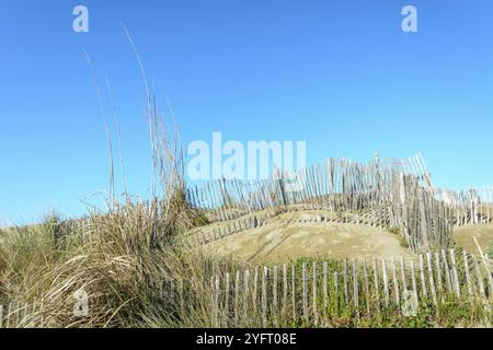 Schutz der Sanddünen in der Camargue, Espiguette Beach. Le Grau du ROI, Provence-Alpes-Cote d'Azur, Frankreich, Europa Stockfoto