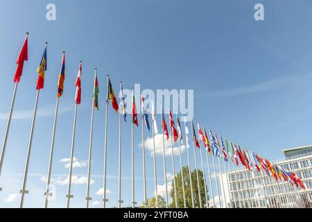 Die Flaggen europäischer Länder vor dem Europarat. Strabourg, Frankreich, Europa Stockfoto