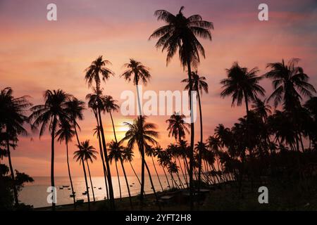 Dunkle Silhouetten von Kokospalmen und erstaunlich bewölkter Himmel bei Sonnenuntergang am tropischen Place Mui ne, Vietnam Stockfoto