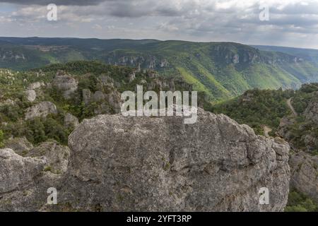 Die Stadt der Steine, im Grands Causses Regional Natural Park, als Naturstätte mit Dourbie Gorges am Boden. Aveyron, Cevennen, Frankreich, Europa Stockfoto