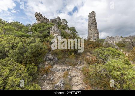 Felsen mit seltsamen Formen im Chaos von Montpellier-le-Vieux im Nationalpark Cevennen. La Roque-Sainte-Marguerite, Aveyron, Frankreich, Europa Stockfoto