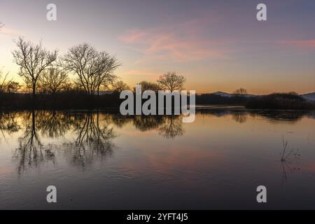 Herbstlandschaft mit Bäumen, die sich bei Sonnenuntergang im Wasser spiegeln. Herbstlandschaft. Bas-Rhin, Elsass, Grand Est, Frankreich, Europa Stockfoto