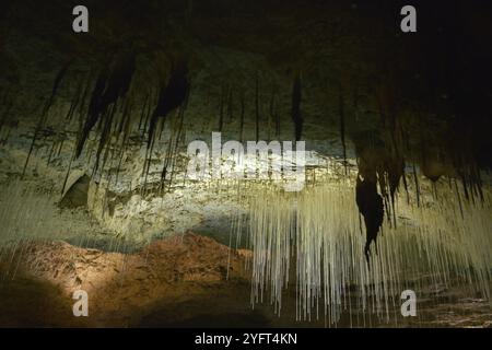 Die Höhlen von Choranche (Vercors) enthalten eine außergewöhnlich lange Fistel von 3,20 m Länge Stockfoto