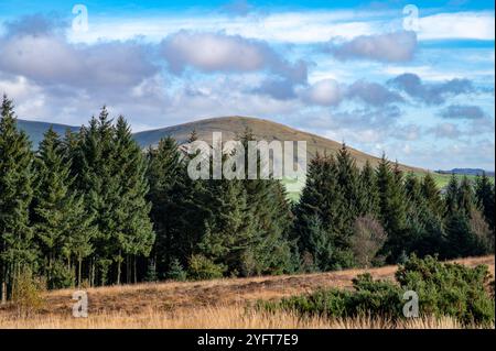 iew of Parlick fiel aus dem Beacon Fell Country Park in Preston, Lancashire. Stockfoto