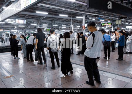 Japaner warten in perfekter Warteschlange auf die U-Bahn © Giorgia de Dato Stockfoto