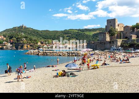 Blick auf den Strand von Collioure mit Chateau Royal im Hintergrund, Pyrenäen Orientales, Roussillon, Occitanie, Frankreich, Europa Stockfoto