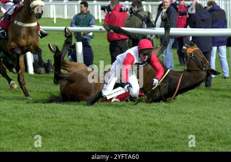 Anführer Keltice Bard und Jockey Noel Fehily ziehen sich in Cheltenham nieder. 2003 Stockfoto