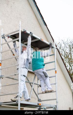 Gerüstbauerin, Malerin und Maler bauen ein mobiles Gerüst am Einfamilienhaus auf, Modell freigegeben für redaktionelle Nutzung, Gerüstbauer *** Gerüstbauer, Maler und Maler, die ein mobiles Gerüst auf einem Einfamilienhaus aufstellen, Modell freigegeben für redaktionelle Nutzung, Gerüstbauer 20241105-DSC 8700 Stockfoto