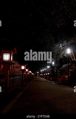 Kyoto Street by Night, Japan © Giorgia de Dato Stockfoto