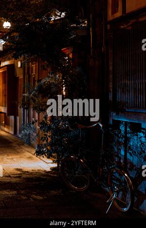 Kyoto Street by Night, Japan © Giorgia de Dato Stockfoto