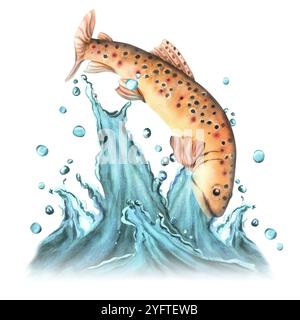 Springende Bachforelle mit Wasserspritzer. Angelclipart. Handgezeichnete Aquarellillustration. Stockfoto